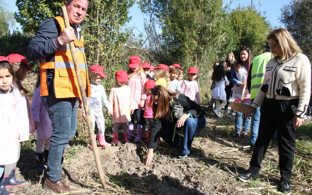 Reflorestação de 200 carvalhos no Parque Verde, Rico Sofia na Vila do Louriçal.