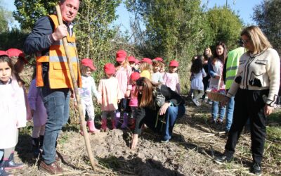 Reflorestação de 200 carvalhos no Parque Verde, Rico Sofia na Vila do Louriçal.